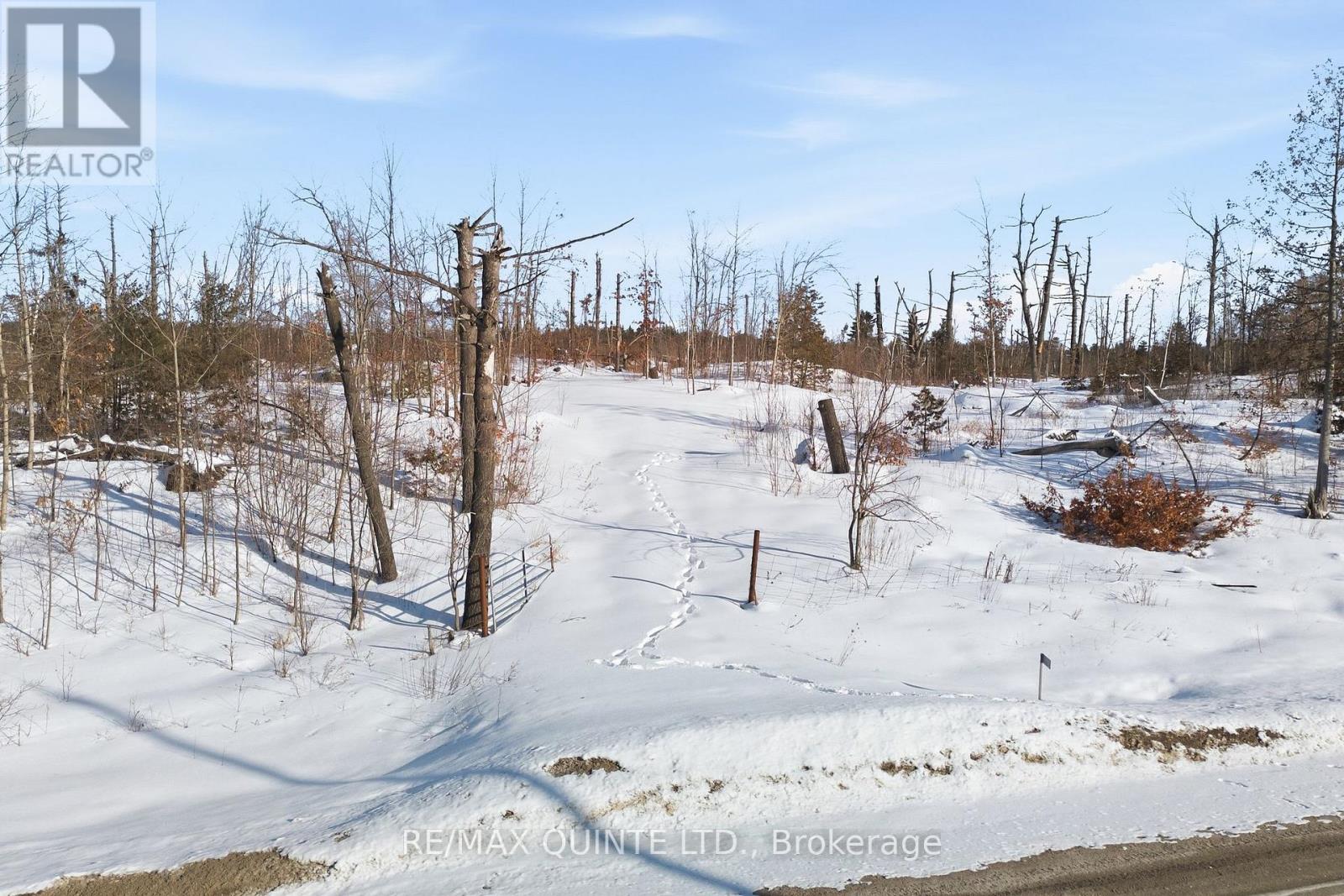 109989 Hwy 7 Highway, Tweed, Ontario  K0K 3J0 - Photo 2 - X12844976