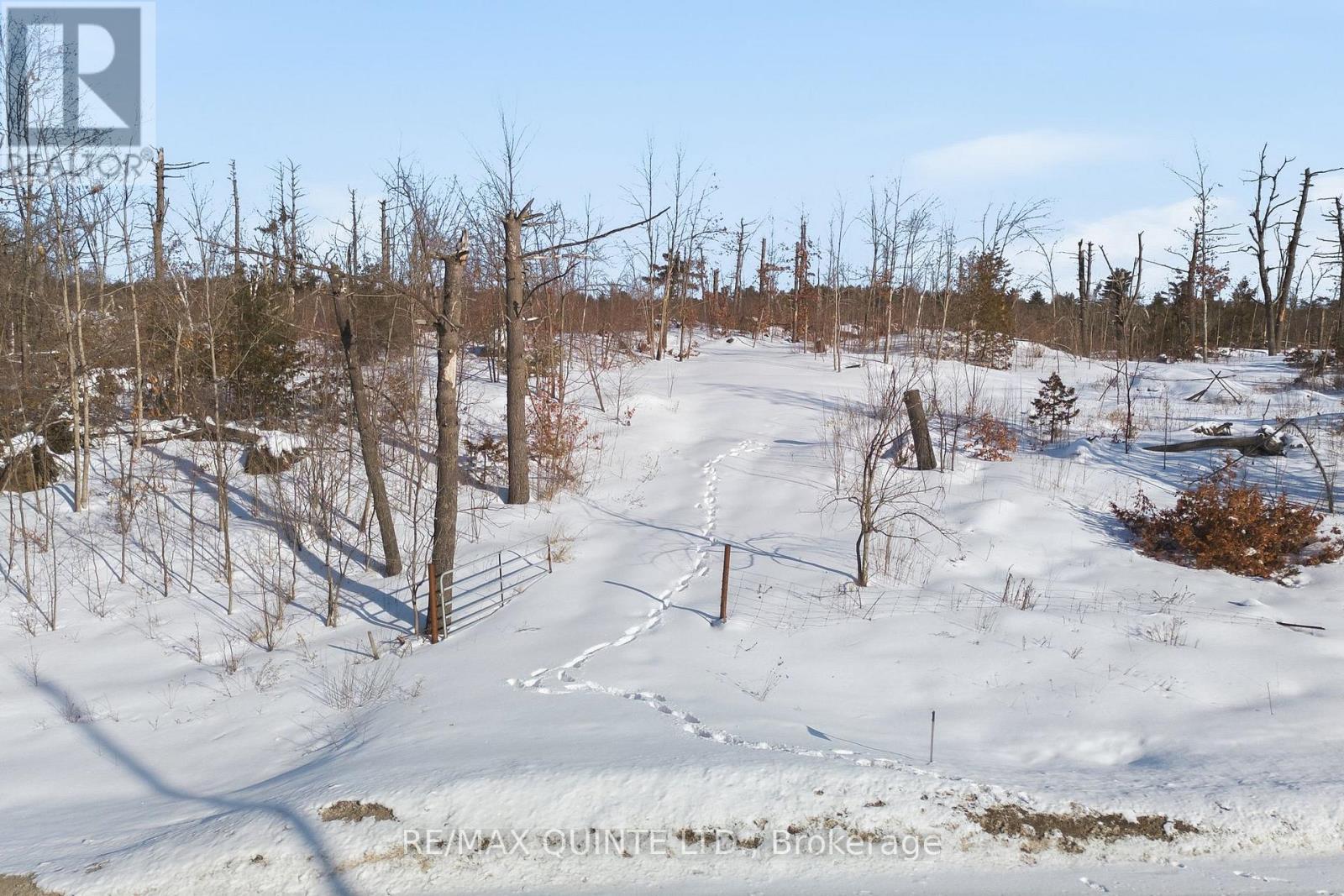 109989 Hwy 7 Highway, Tweed, Ontario  K0K 3J0 - Photo 3 - X12844976