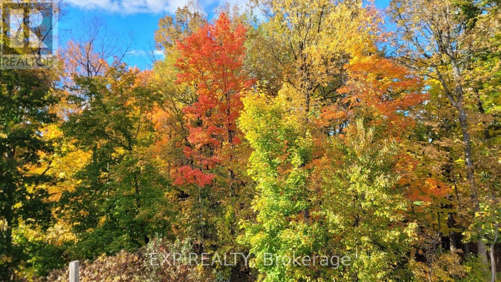185 Teal Crescent, Ottawa, Ontario  K1E 2C3 - Photo 28 - X12844910