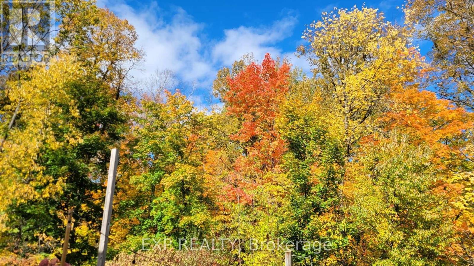 185 Teal Crescent, Ottawa, Ontario  K1E 2C3 - Photo 29 - X12844910