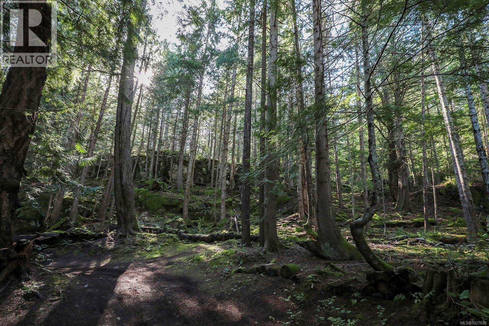 651 Gorge Harbour, Cortes Island, British Columbia  V0P 1Z0 - Photo 39 - 1027635