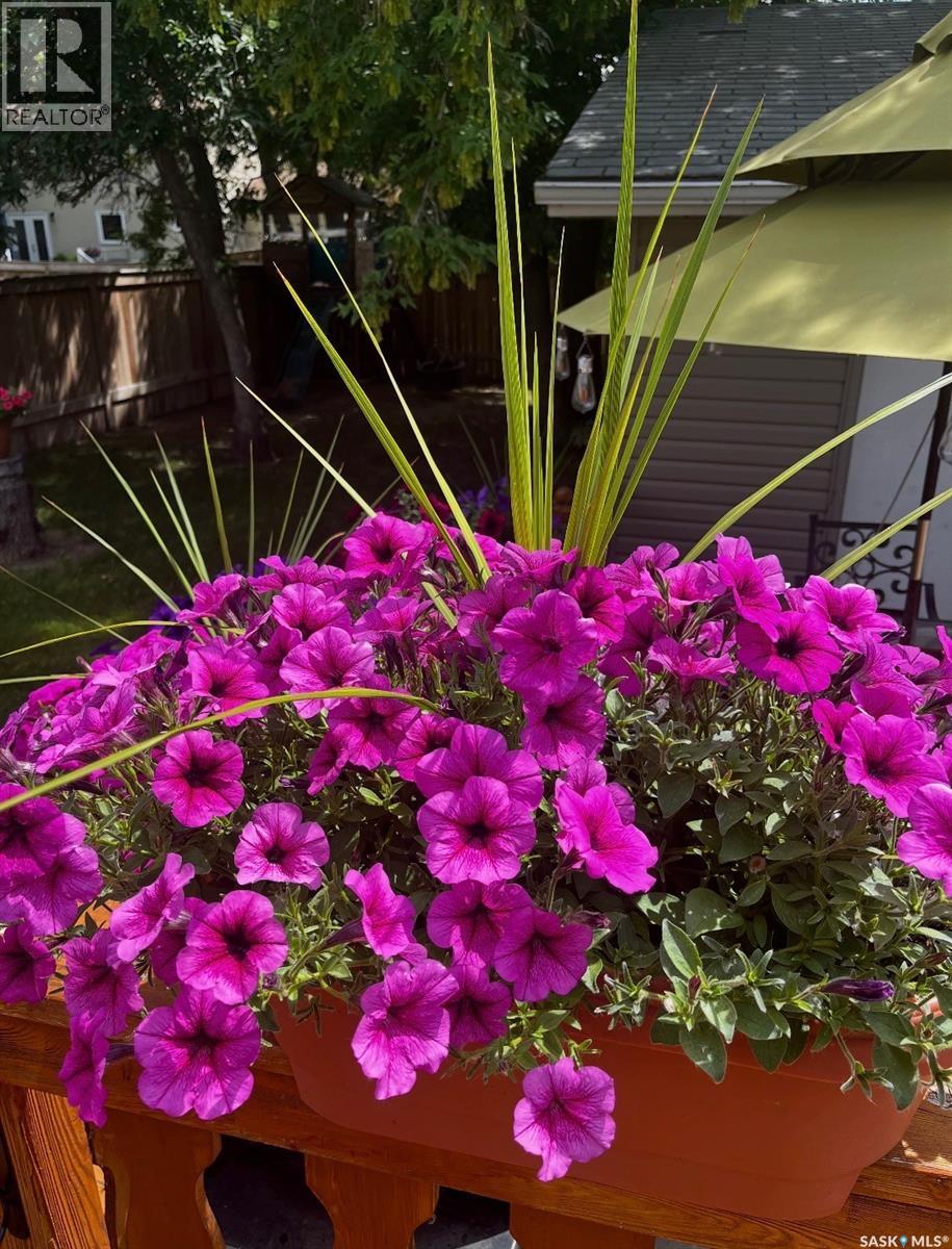 251 Hanley Crescent, Regina, Saskatchewan  S4R 5A9 - Photo 33 - SK029676