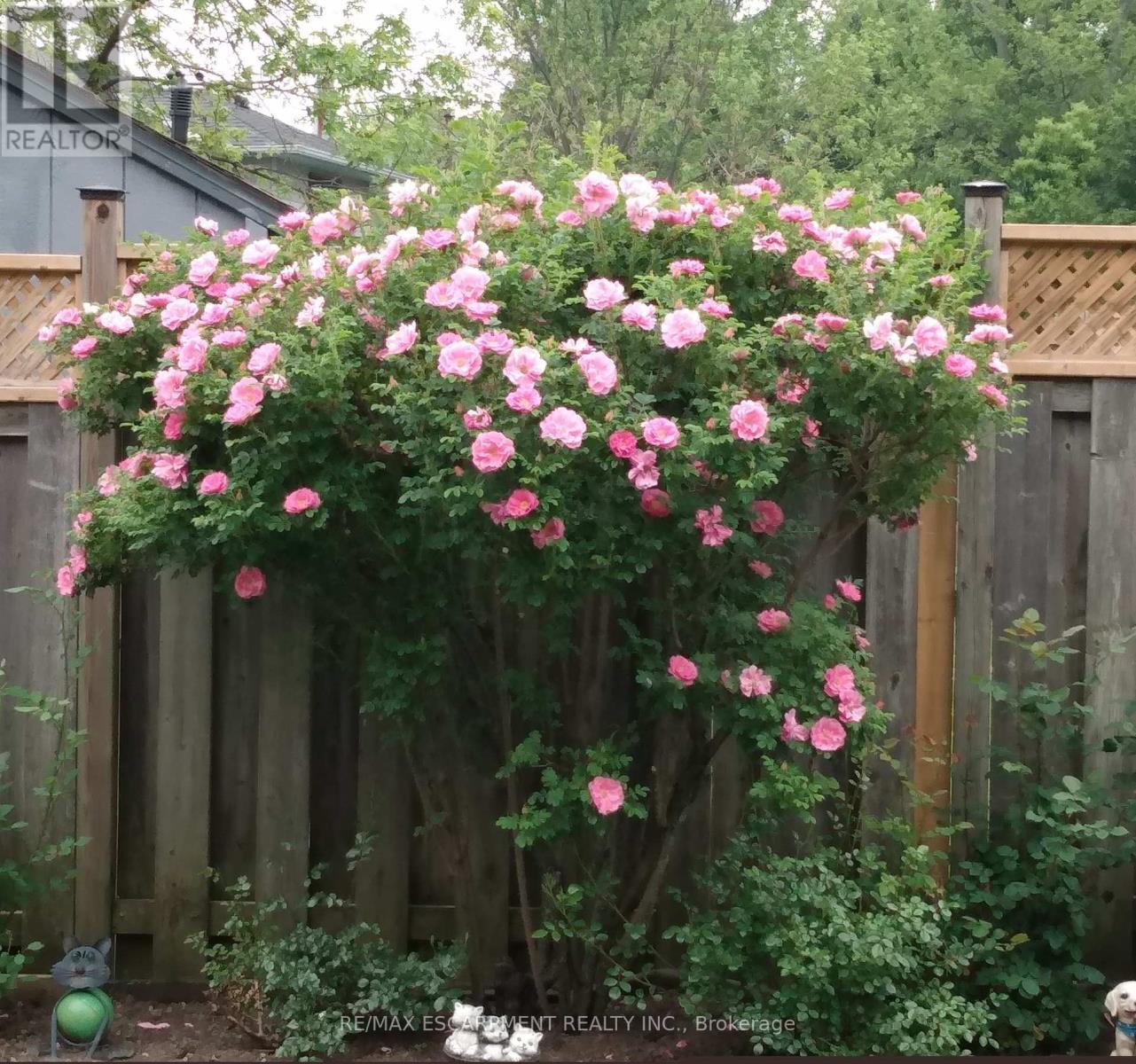 639 Rexford Drive, Hamilton, Ontario  L8W 3E7 - Photo 46 - X12844776