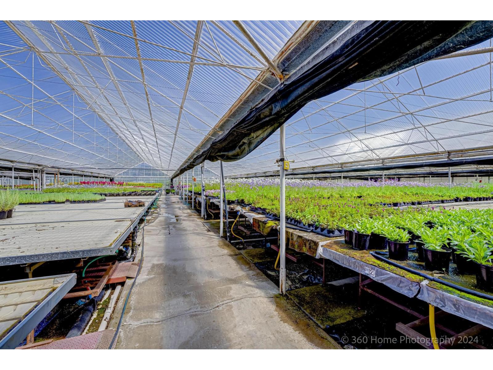 1262 176 Street, Surrey, British Columbia  V3Z 9S5 - Photo 17 - R3095959