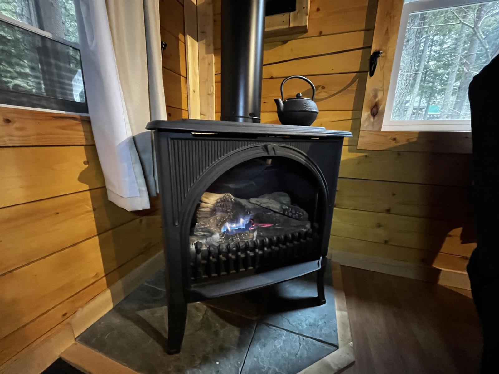 H103 Strawberry Lane, Sunshine Valley, Sunshine Valley, British Columbia  V0X 1L5 - Photo 8 - R3095413