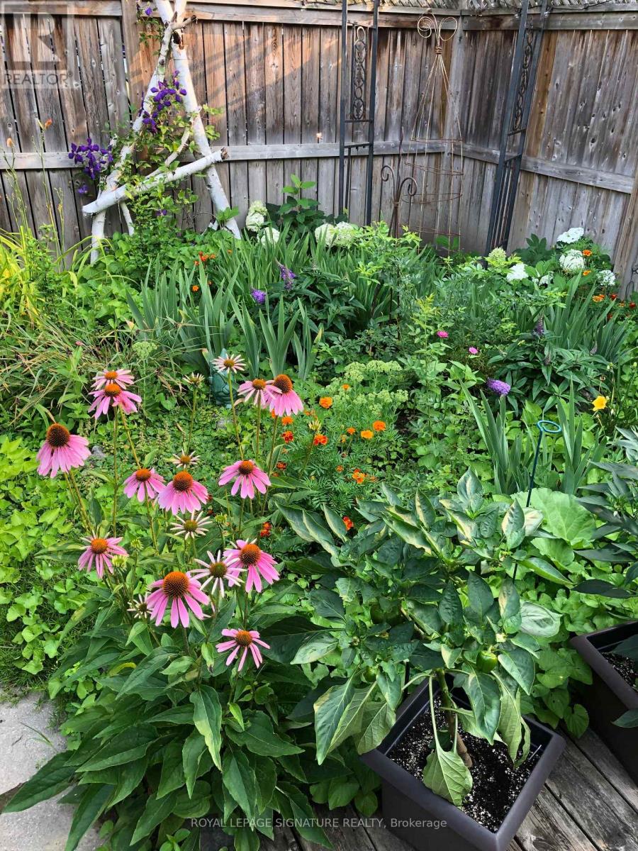 2 Earl Haig Avenue, Toronto, Ontario  M4C 1E1 - Photo 46 - E12844724