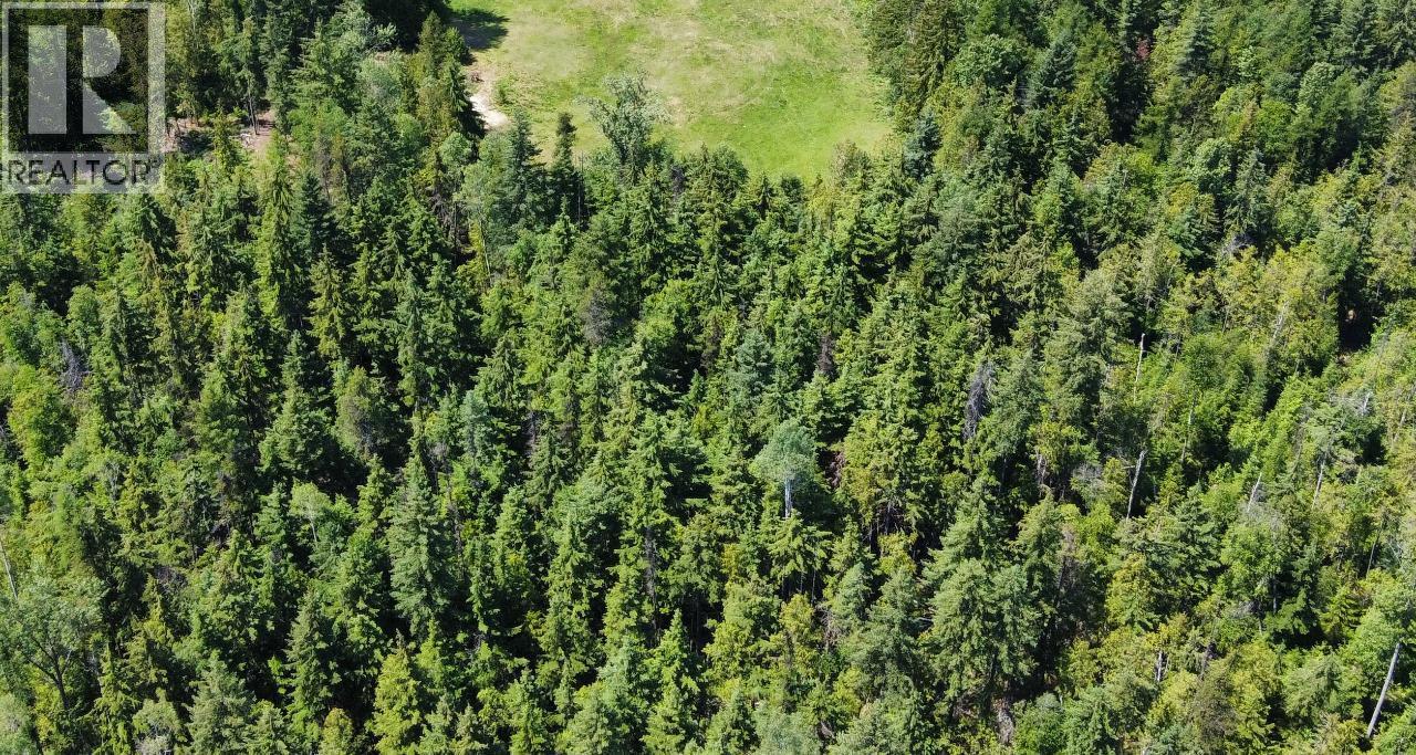 432 Alexander Road, Nakusp, British Columbia  V0G 1R1 - Photo 38 - 10358342