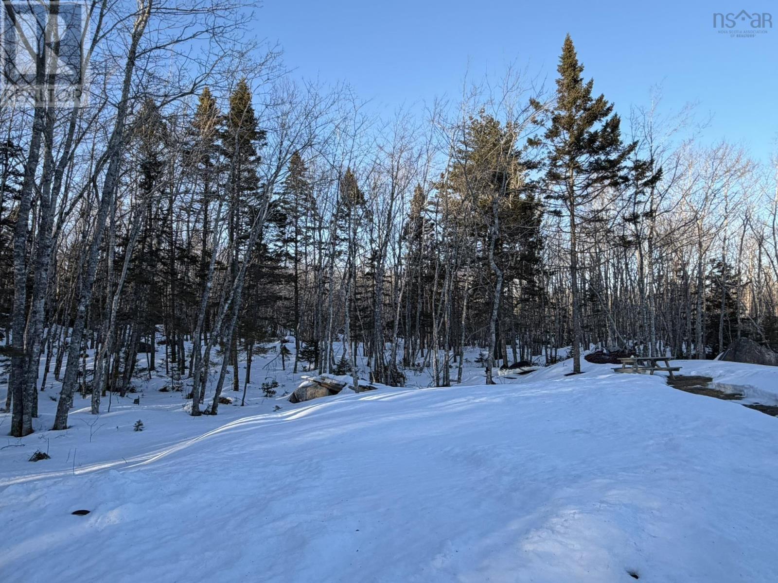 5538 Highway 3, White Point, Nova Scotia  B0T 1K0 - Photo 15 - 202603782