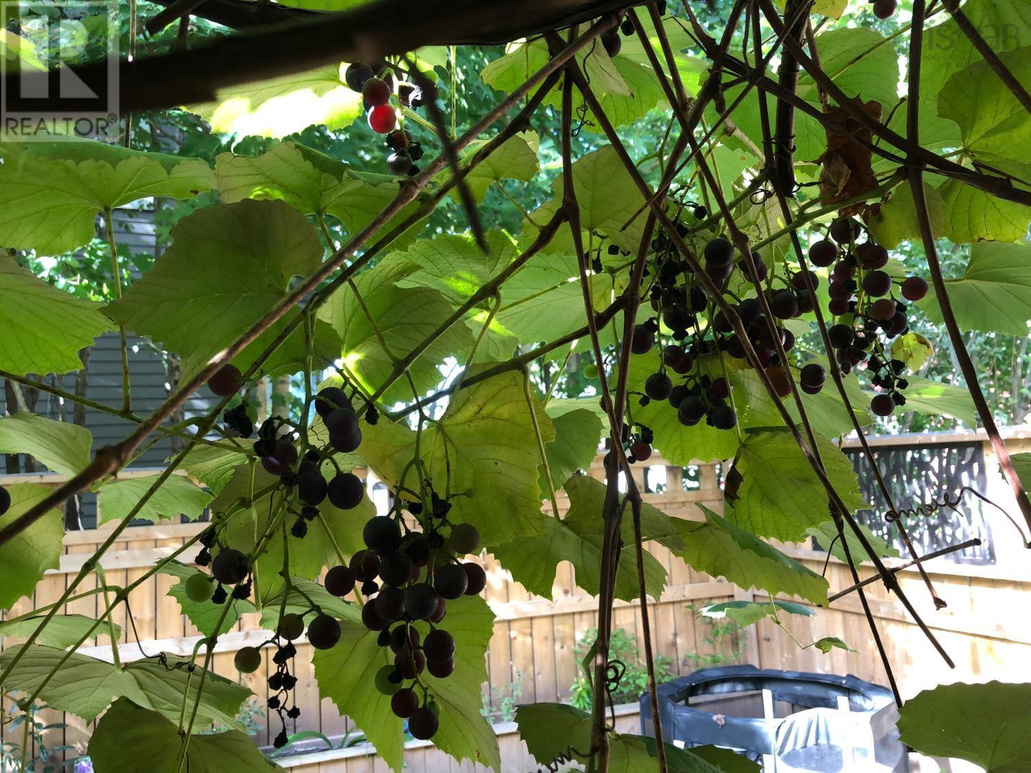 26 Muir Street, Truro, Nova Scotia  B2N 1Z7 - Photo 39 - 202603790