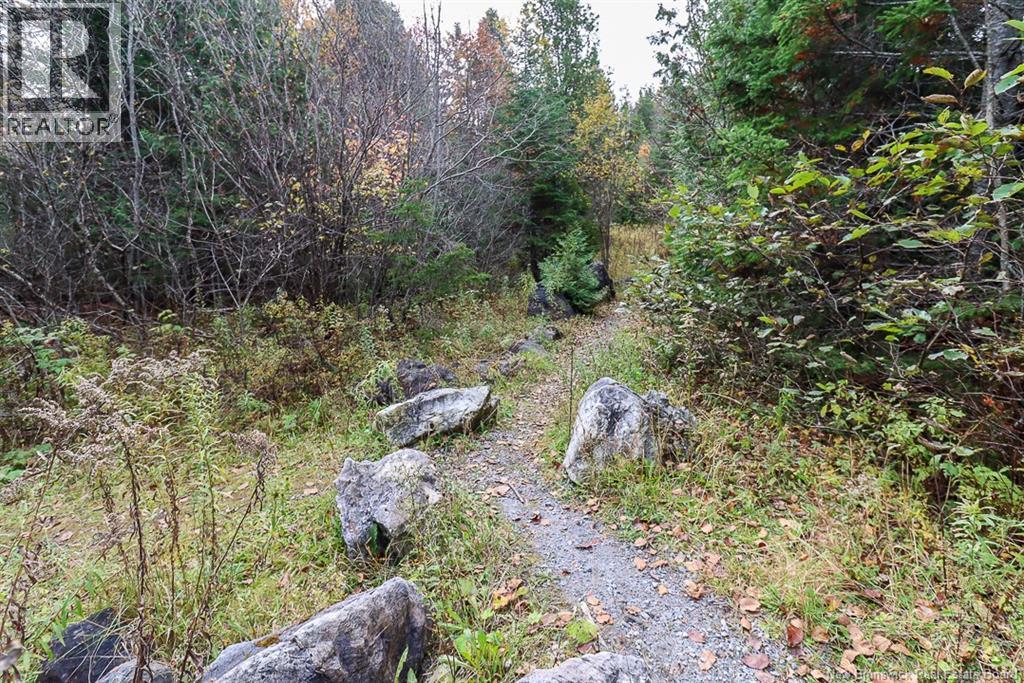 19 Bridgeford Drive, Quispamsis, New Brunswick  E2S 0C3 - Photo 6 - NB119409