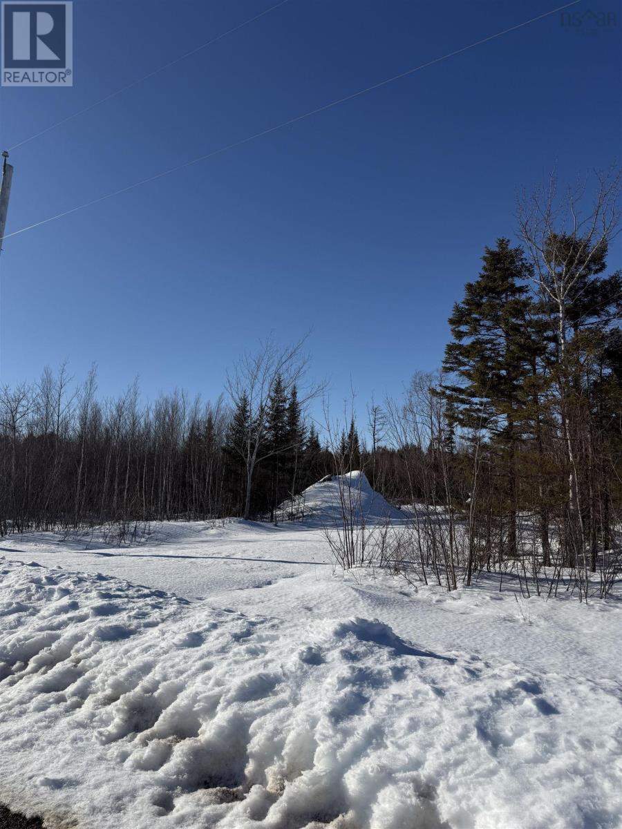 Lot 10 945 College Grant Road, East Branch, Nova Scotia  B0K 1R0 - Photo 2 - 202603799