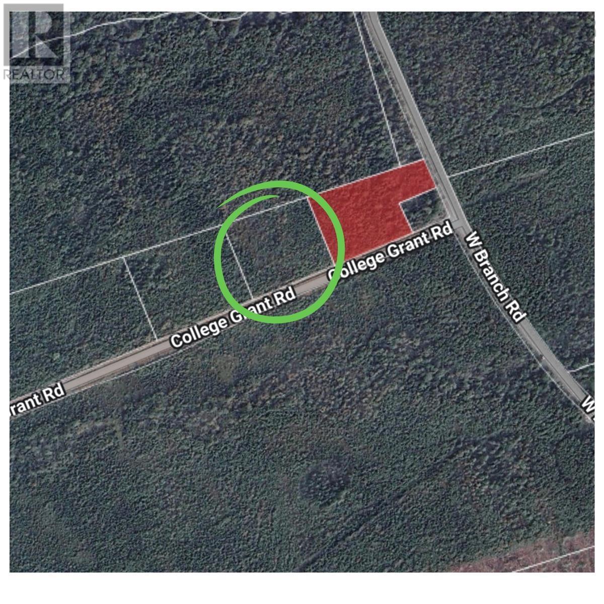 Lot 10 945 College Grant Road, East Branch, Nova Scotia  B0K 1R0 - Photo 6 - 202603799