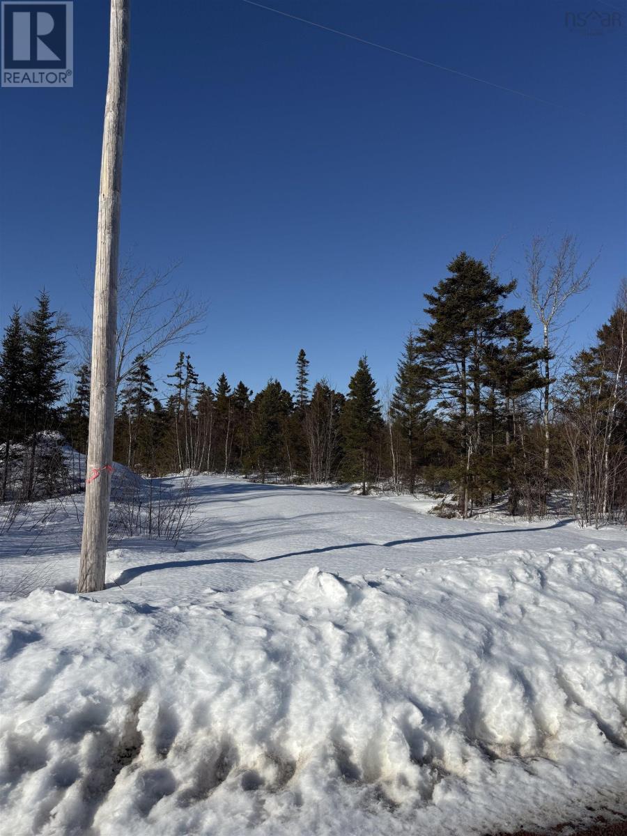 Lot 10 945 College Grant Road, East Branch, Nova Scotia  B0K 1R0 - Photo 3 - 202603799