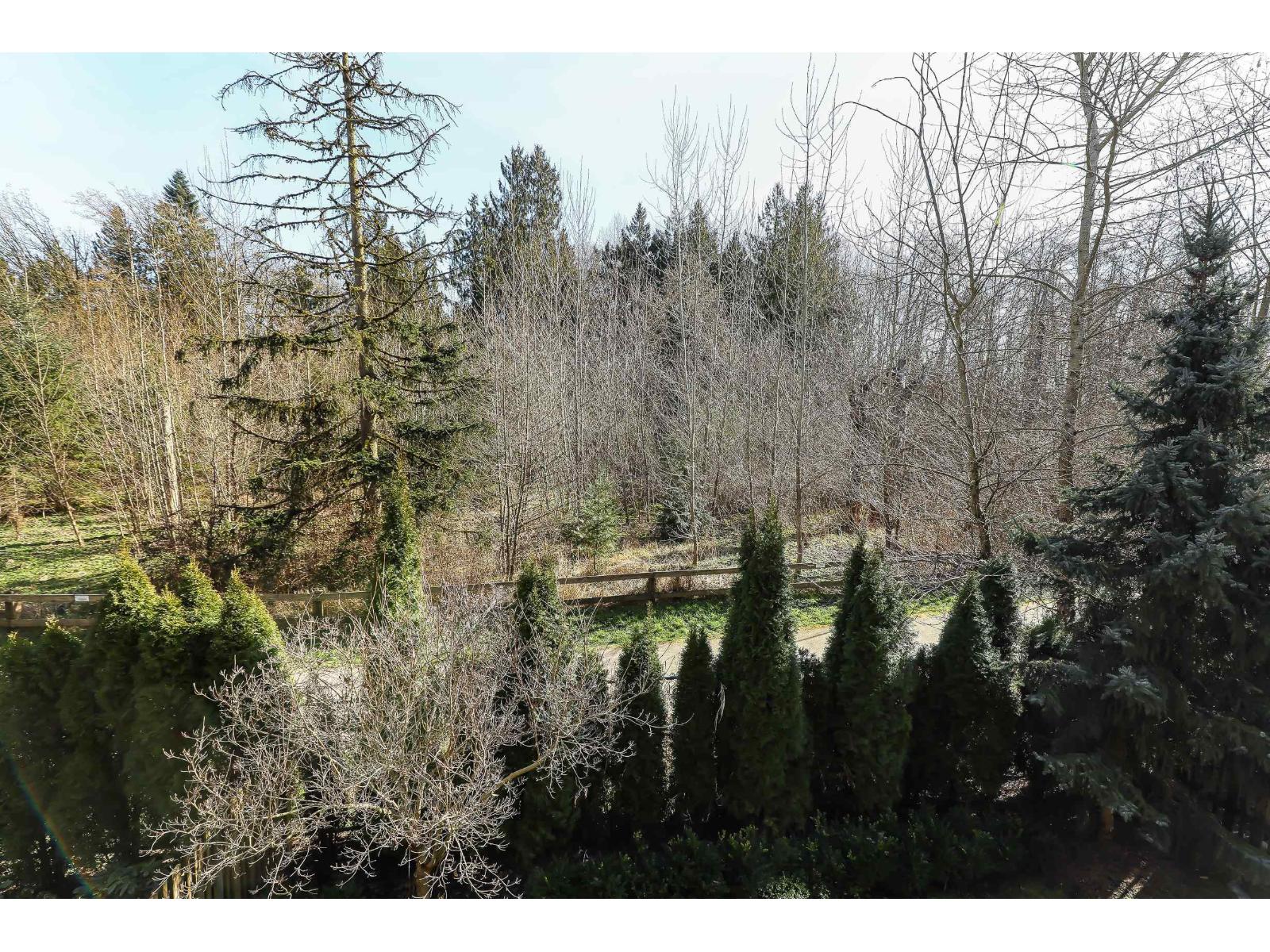 73 20498 82 Avenue, Langley, British Columbia  V2Y 0V1 - Photo 27 - R3095965