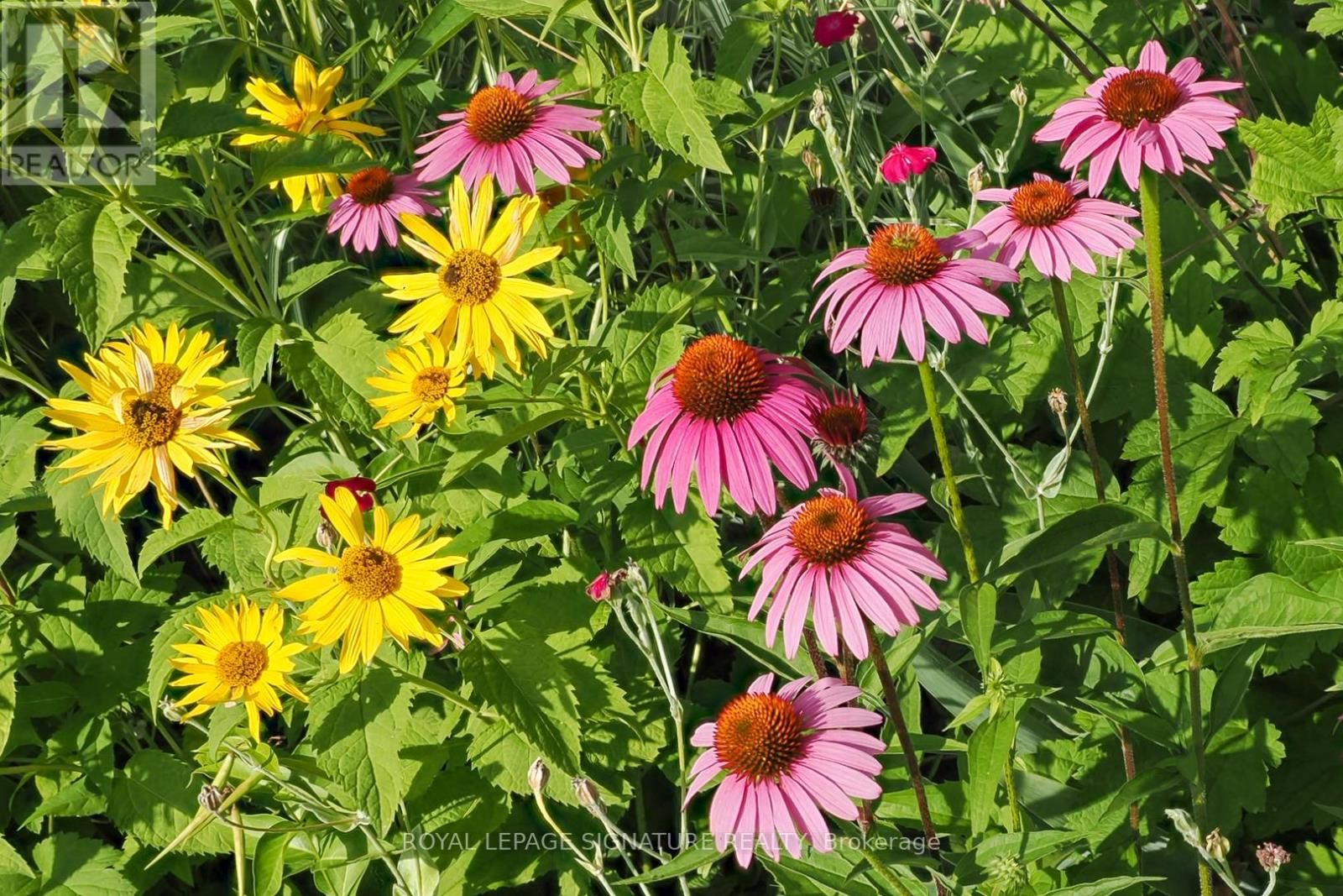 28 Grove Park Crescent, Toronto, Ontario  M2J 2C8 - Photo 37 - C12845382