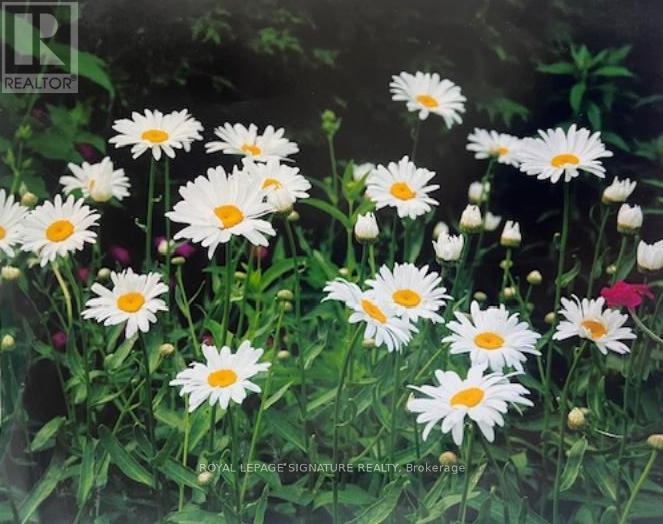 28 Grove Park Crescent, Toronto, Ontario  M2J 2C8 - Photo 40 - C12845382