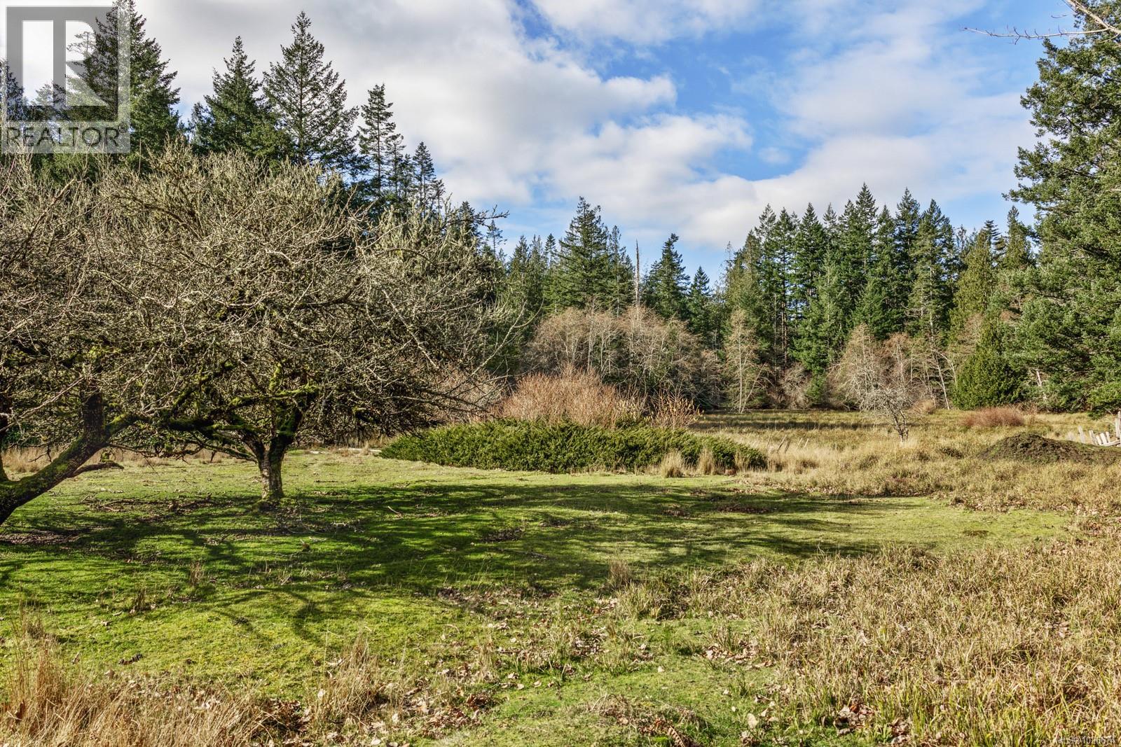 333 Main Rd, Lasqueti Island, British Columbia  V0R 2J0 - Photo 7 - 1026674