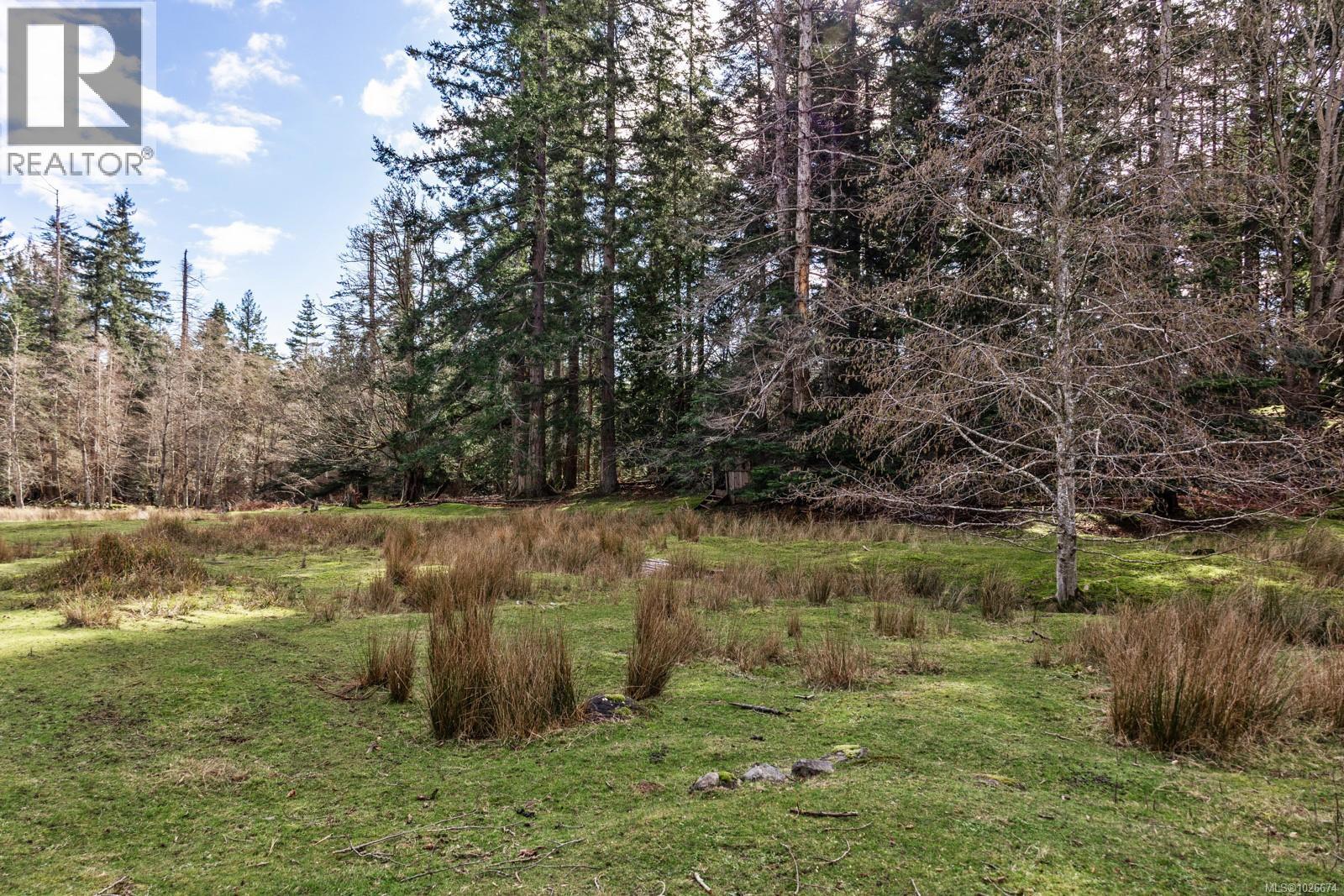 333 Main Rd, Lasqueti Island, British Columbia  V0R 2J0 - Photo 6 - 1026674