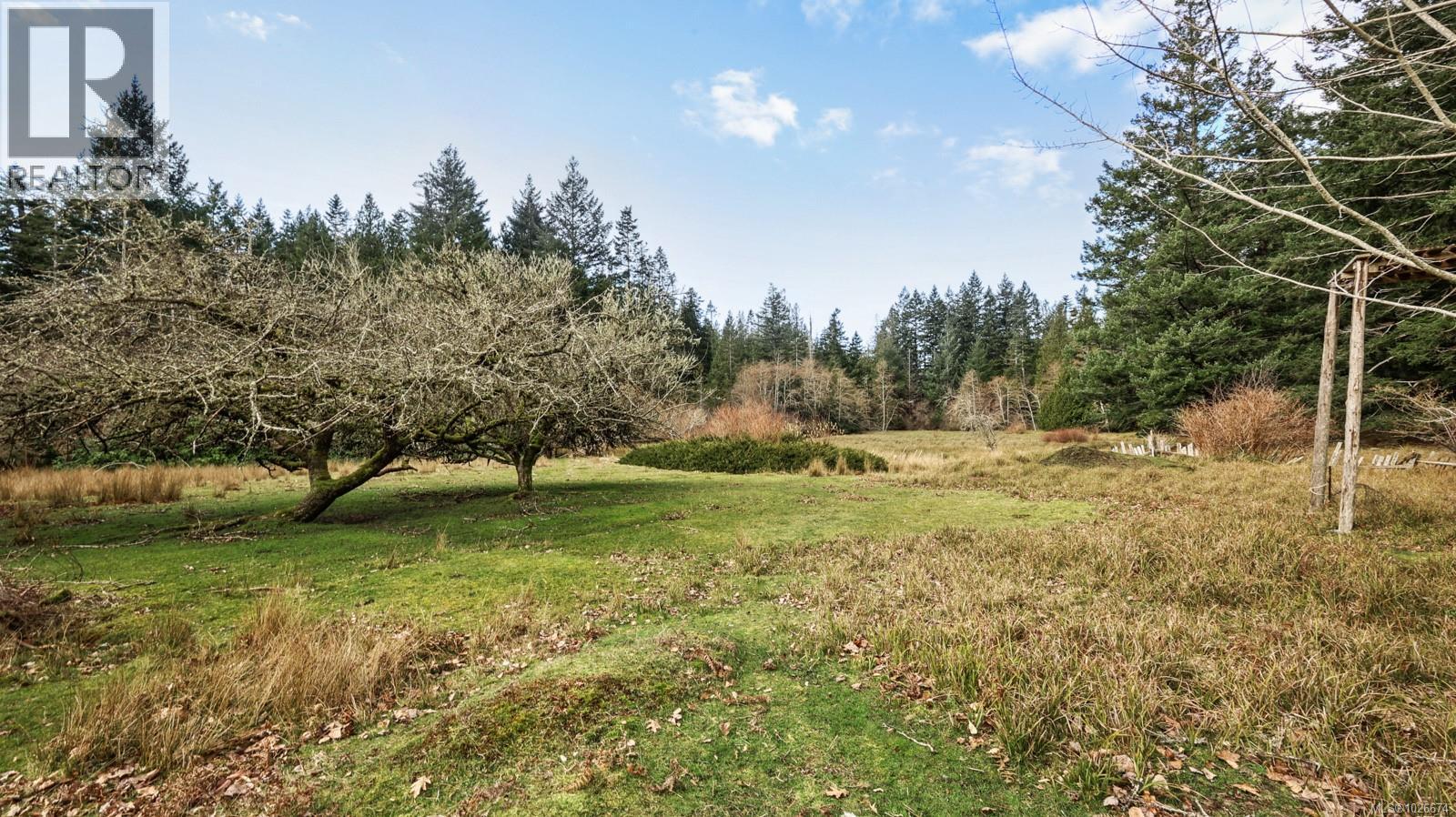 333 Main Rd, Lasqueti Island, British Columbia  V0R 2J0 - Photo 8 - 1026674