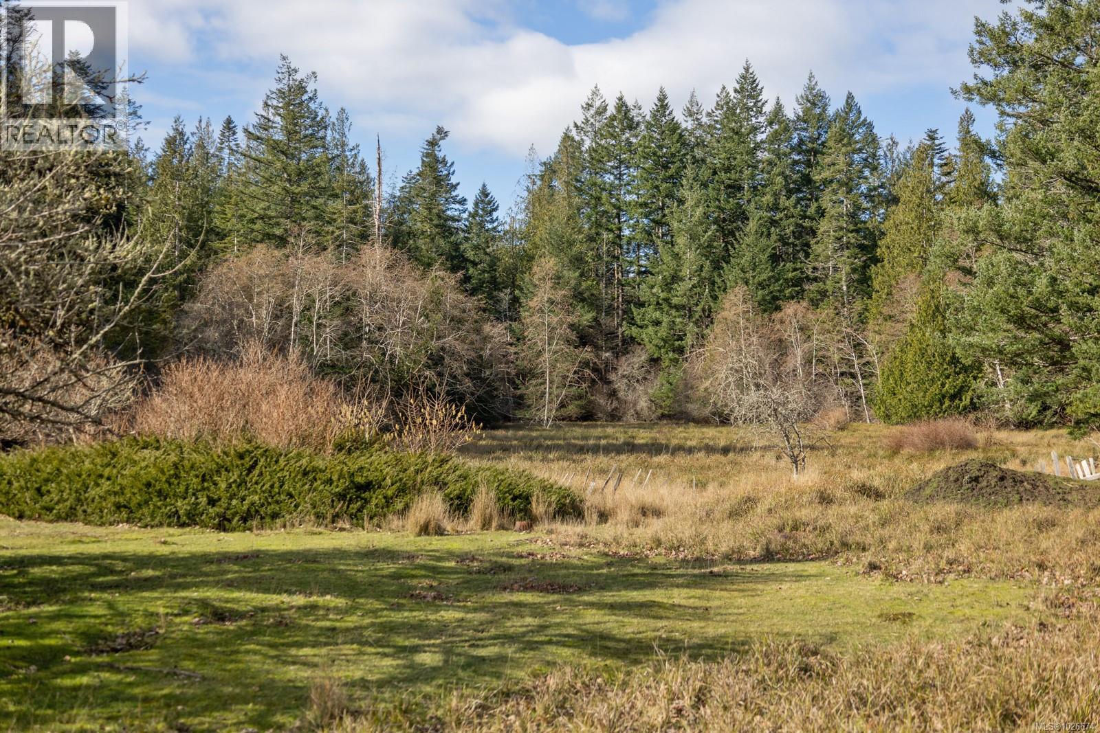 333 Main Rd, Lasqueti Island, British Columbia  V0R 2J0 - Photo 9 - 1026674