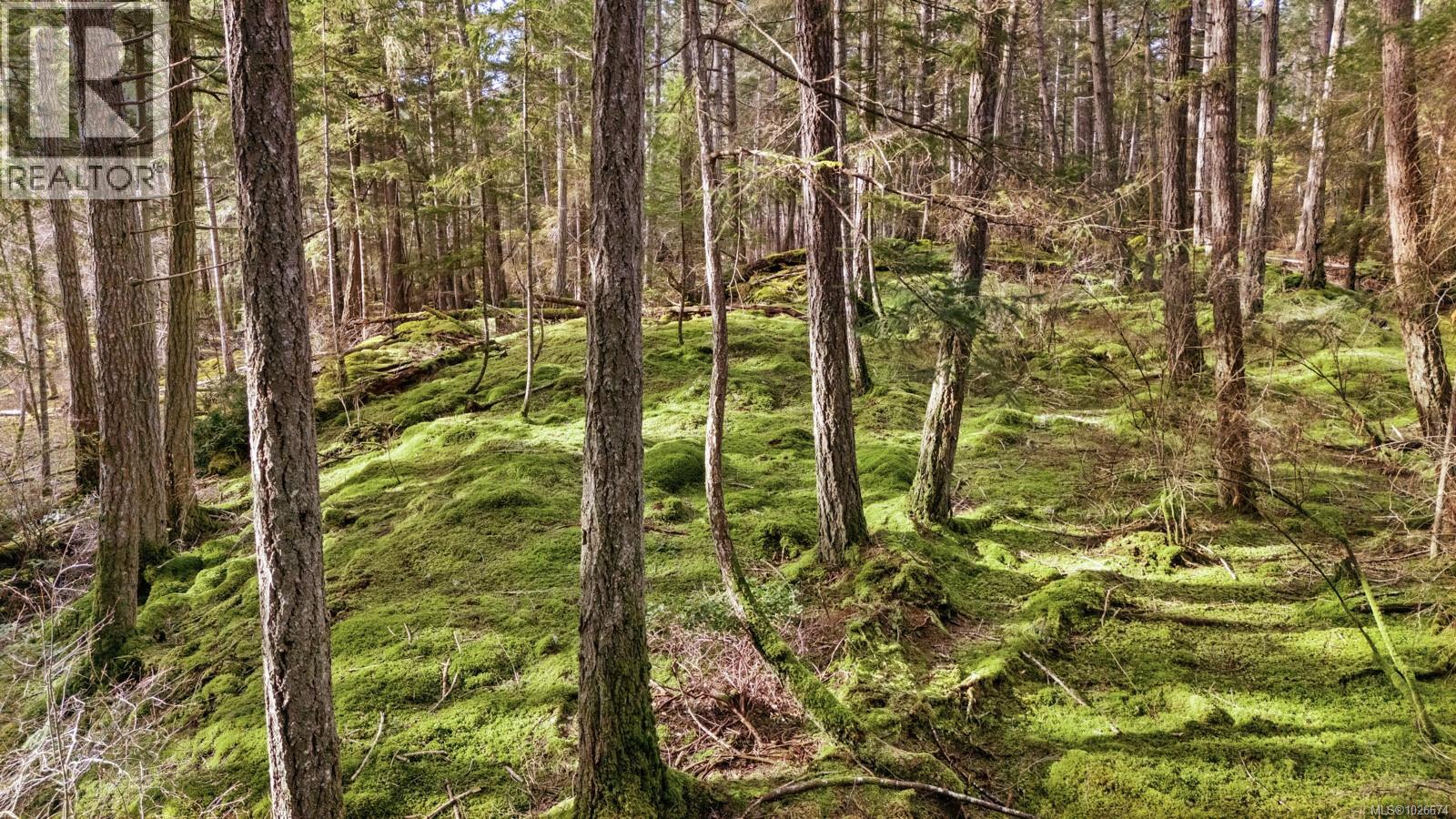 333 Main Rd, Lasqueti Island, British Columbia  V0R 2J0 - Photo 21 - 1026674