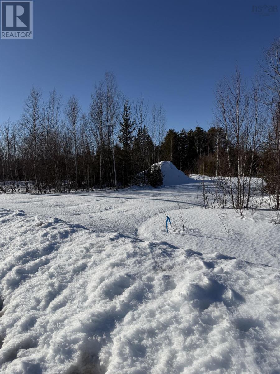Lot 9 929 College Grant Road, East Branch, Nova Scotia  B0K 1R0 - Photo 5 - 202603795