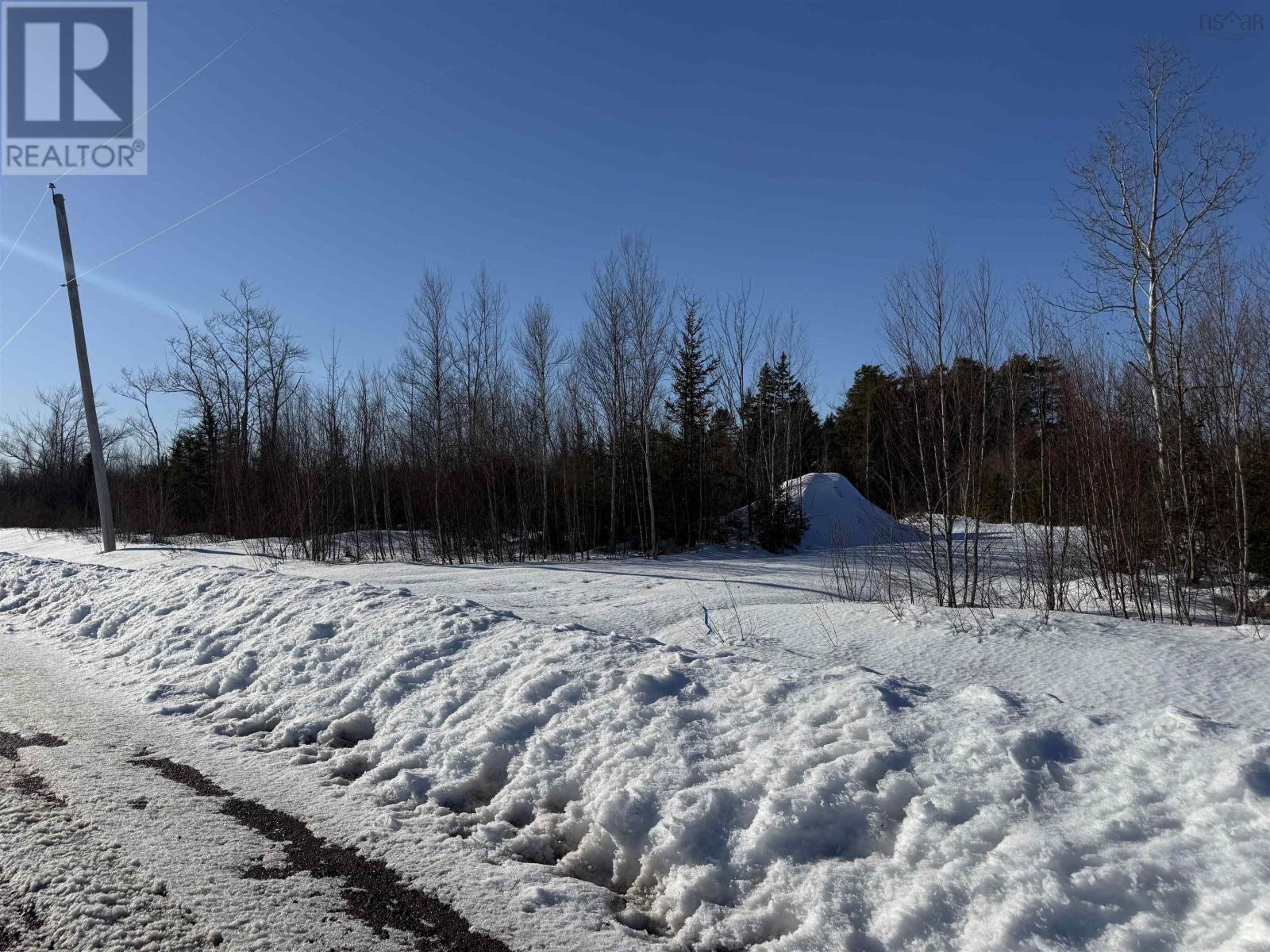 Lot 9 929 College Grant Road, East Branch, Nova Scotia  B0K 1R0 - Photo 6 - 202603795