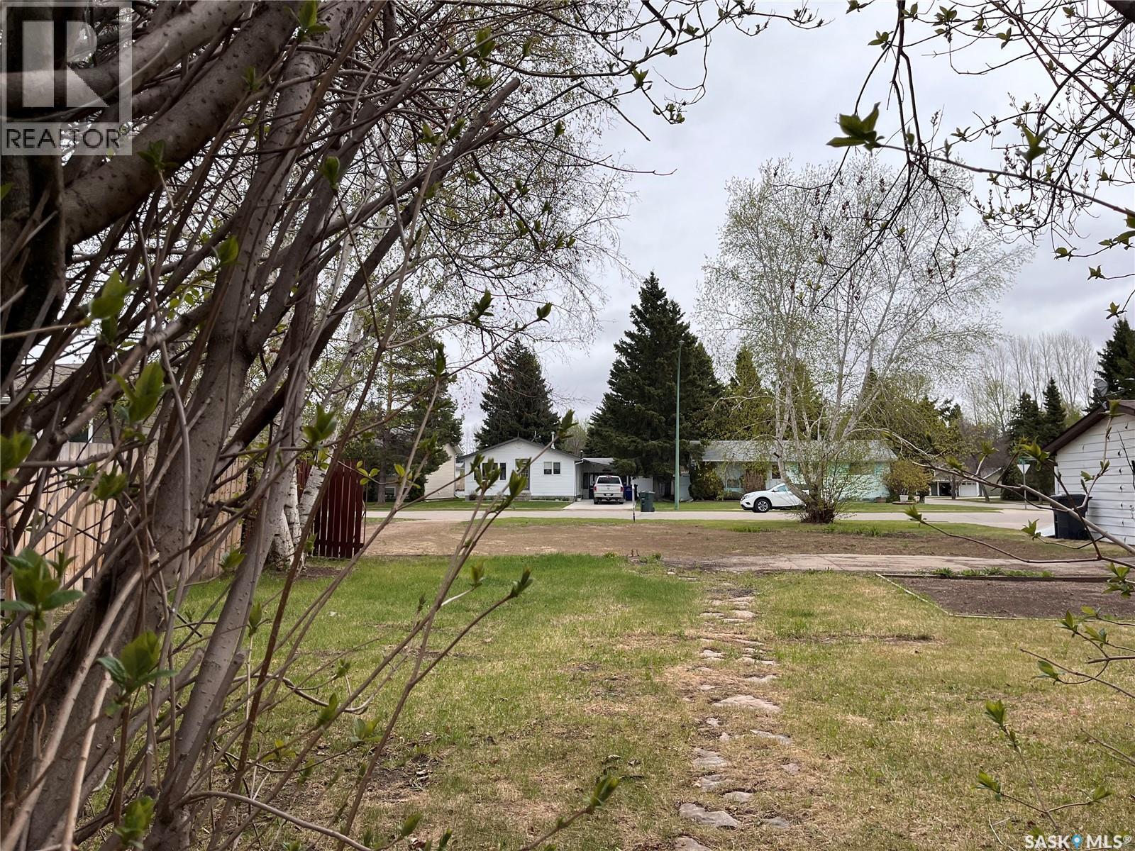 1008 1st Street E, Nipawin, Saskatchewan  S0E 1E0 - Photo 11 - SK029711