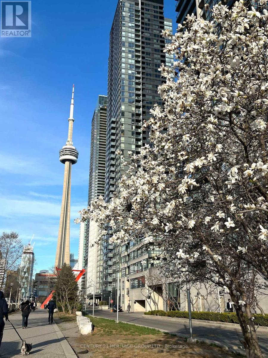 2009 - 15 Iceboat Terrace, Toronto, Ontario  M5V 4A5 - Photo 3 - C12845542