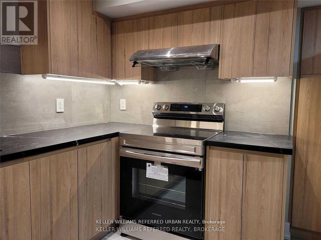 Lower - 920 Stonehaven Avenue, Newmarket, Ontario  L3X 1K7 - Photo 2 - N12845712