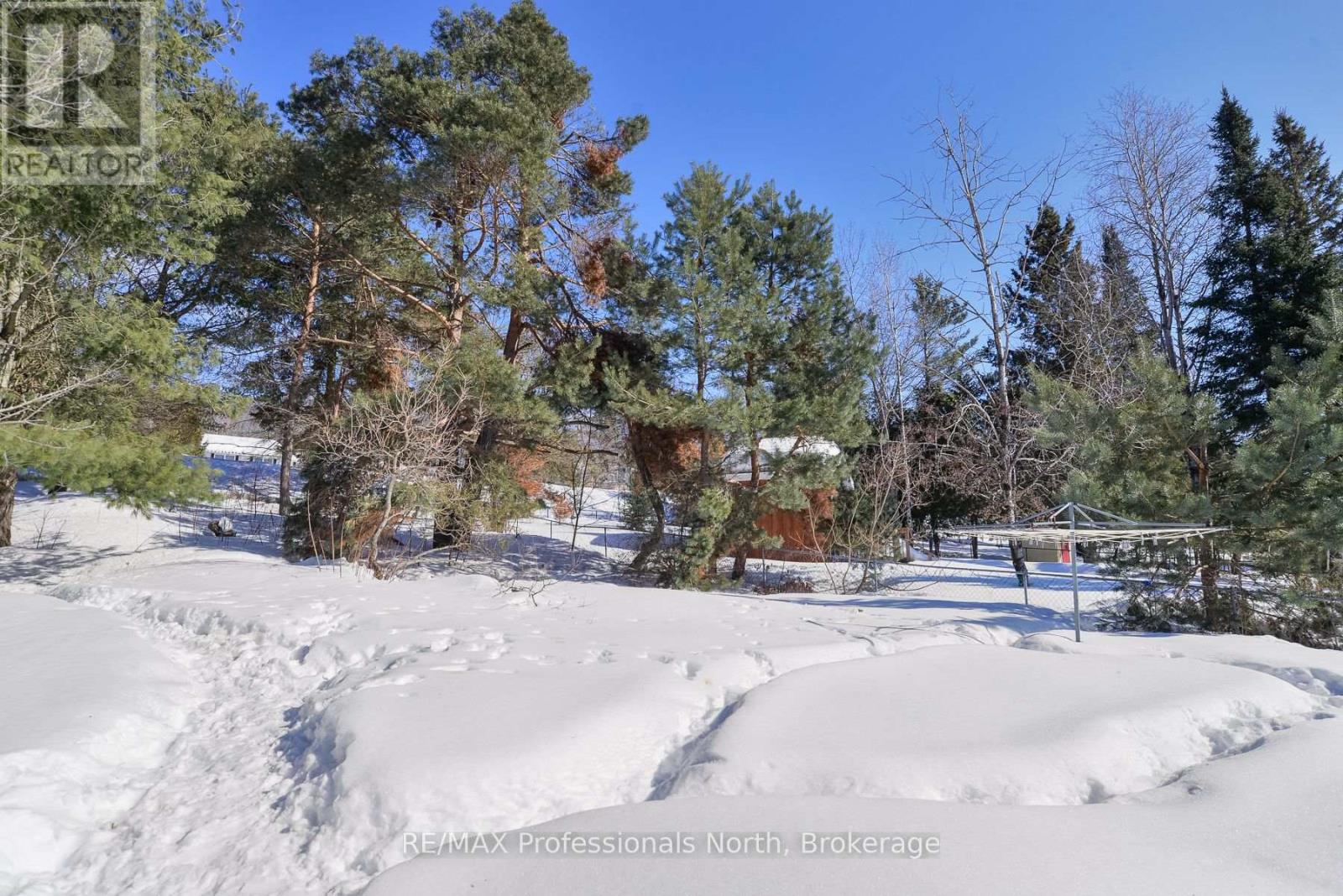 240 Oriole Crescent, Gravenhurst, Ontario  P1P 1C6 - Photo 18 - X12845834