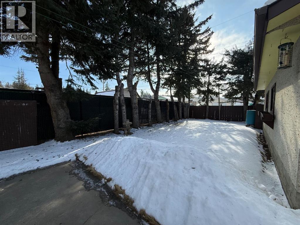 103 Belmont Crescent, Hinton, Alberta  T7V 1N6 - Photo 17 - A2290356