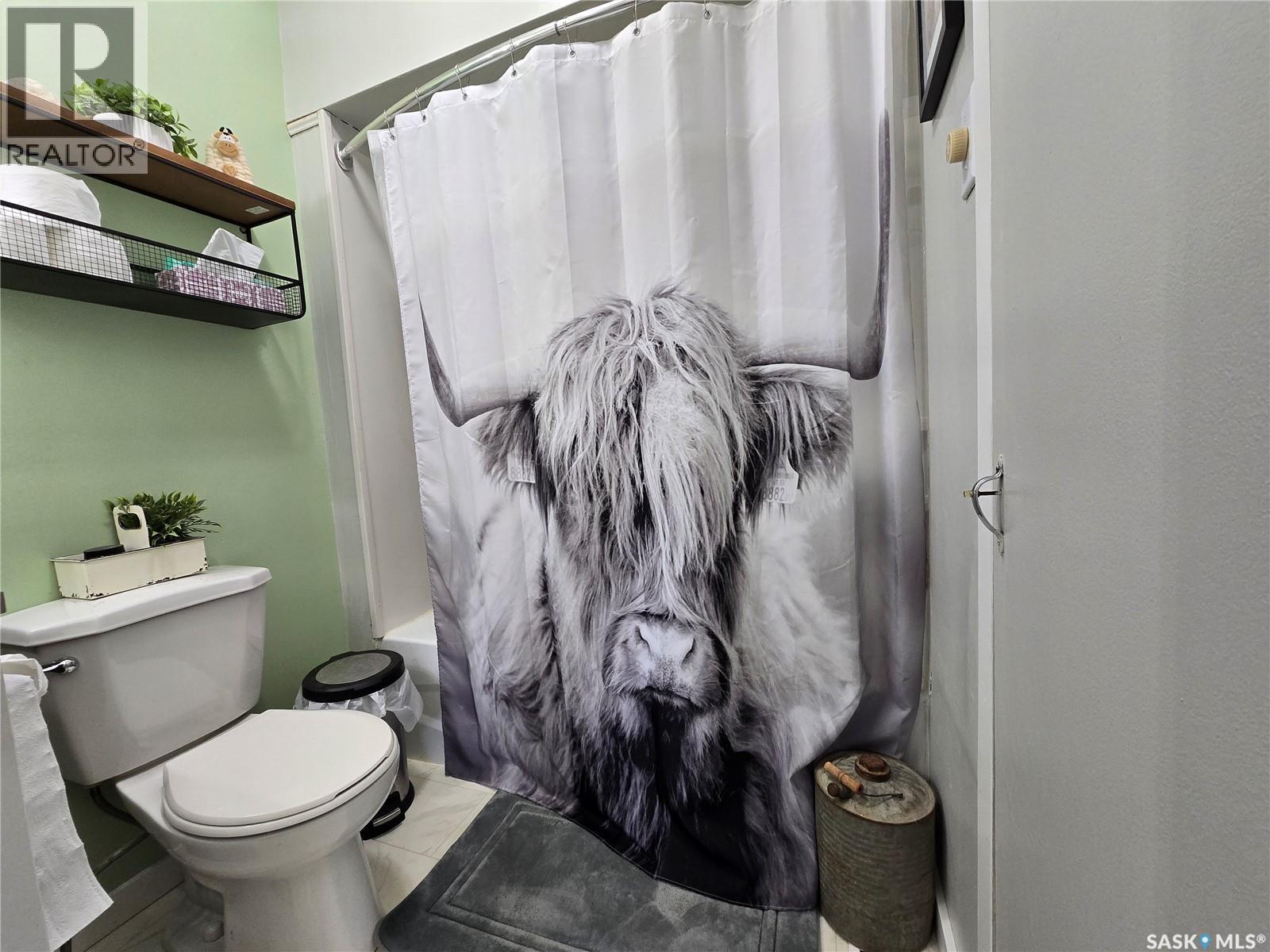 211 Rye Street, Yellow Grass, Saskatchewan  S0G 5J0 - Photo 8 - SK029723