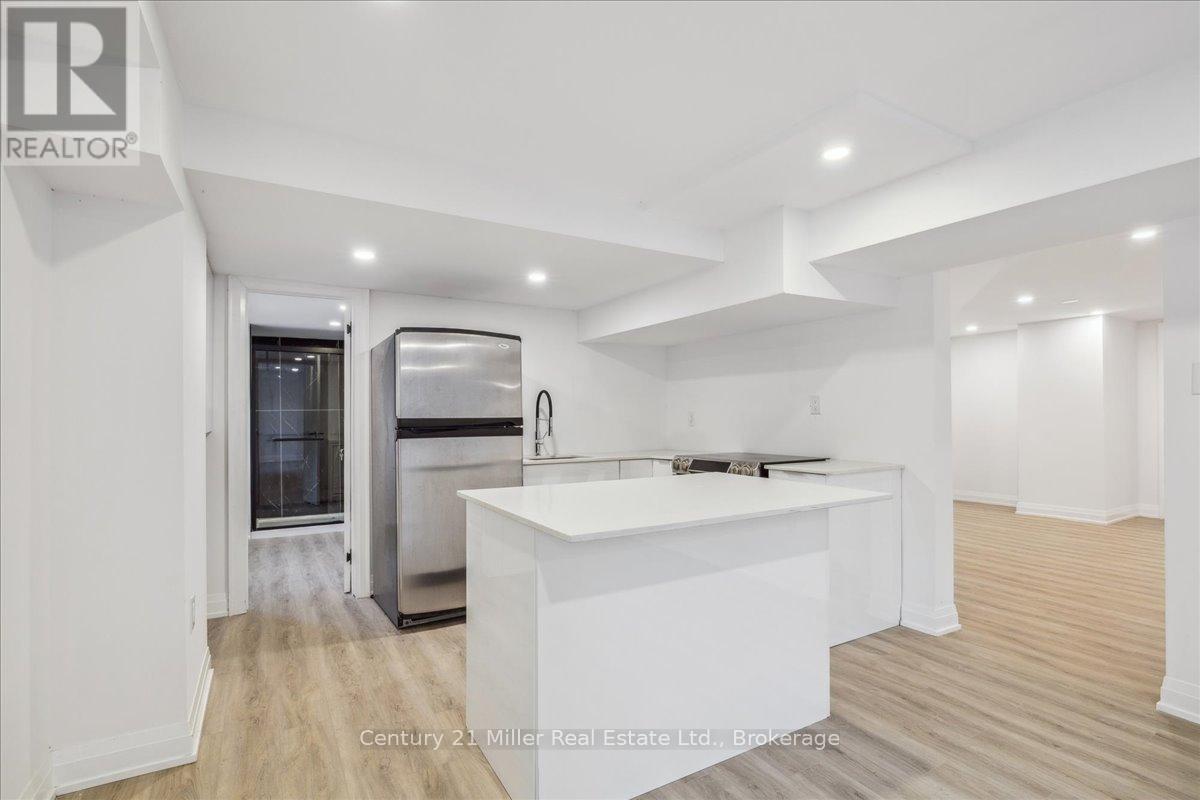 Basement - 91 Oneida Boulevard, Hamilton, Ontario  L9G 4S6 - Photo 7 - X12846122