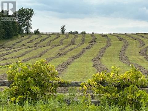 240 Leach Road, Alnwick/haldimand, Ontario  K0K 2X0 - Photo 47 - X12842144