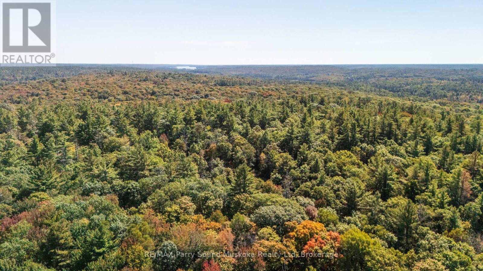 72 Mccauley Road, Seguin, Ontario P0C 1J0 - Photo 11 - X12846098