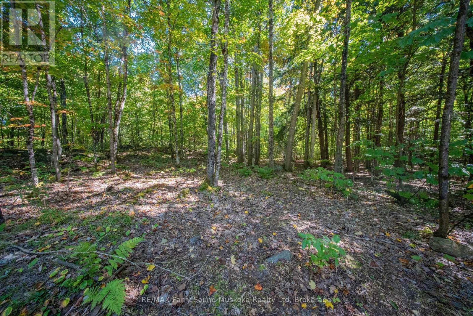 72 Mccauley Road, Seguin, Ontario P0C 1J0 - Photo 16 - X12846098