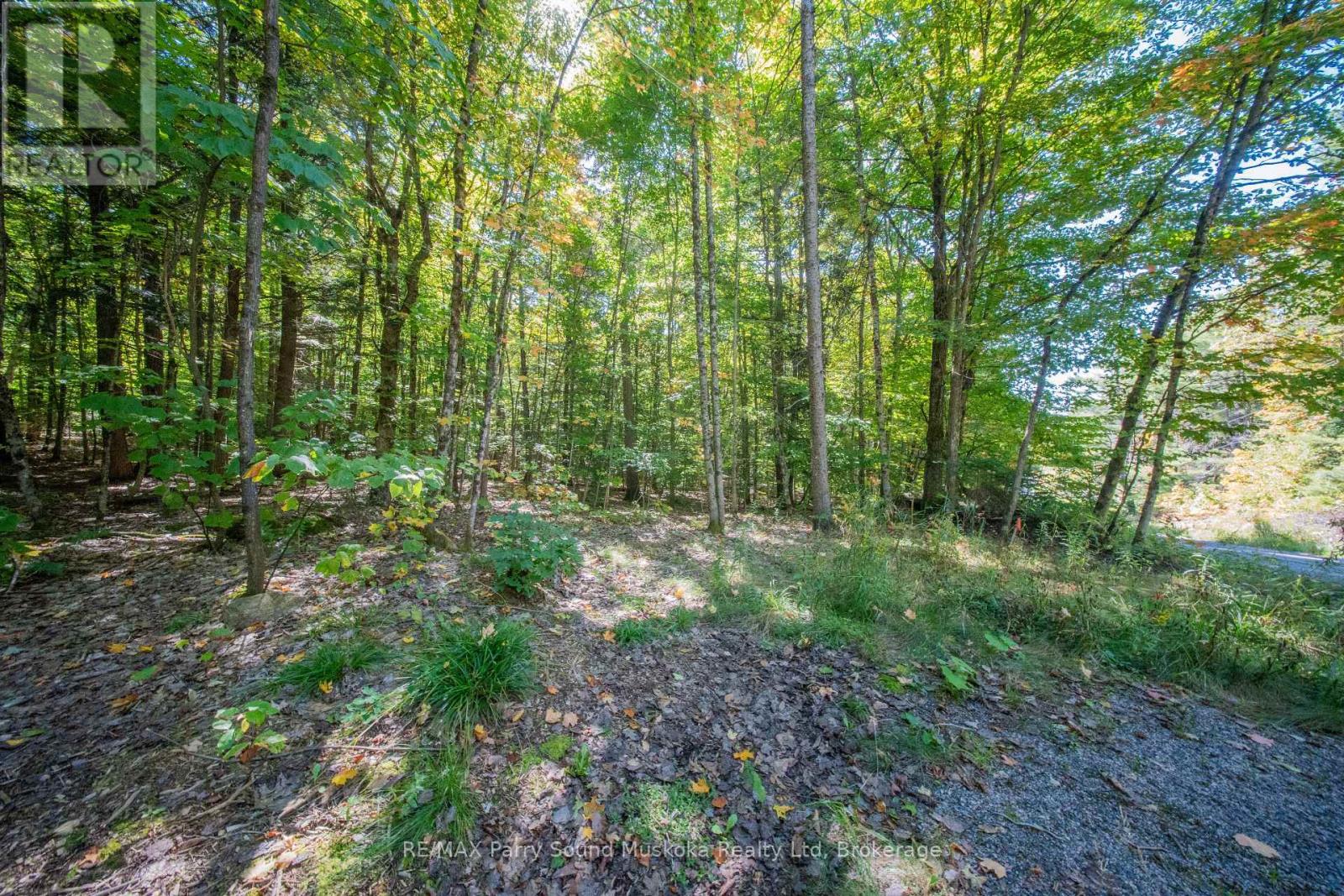 72 Mccauley Road, Seguin, Ontario P0C 1J0 - Photo 2 - X12846098