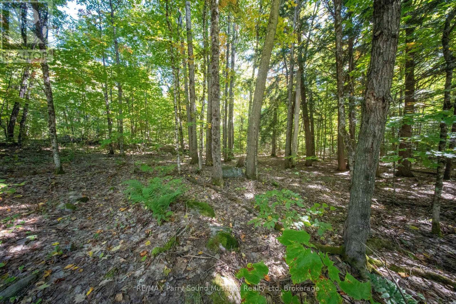 72 Mccauley Road, Seguin, Ontario P0C 1J0 - Photo 23 - X12846098