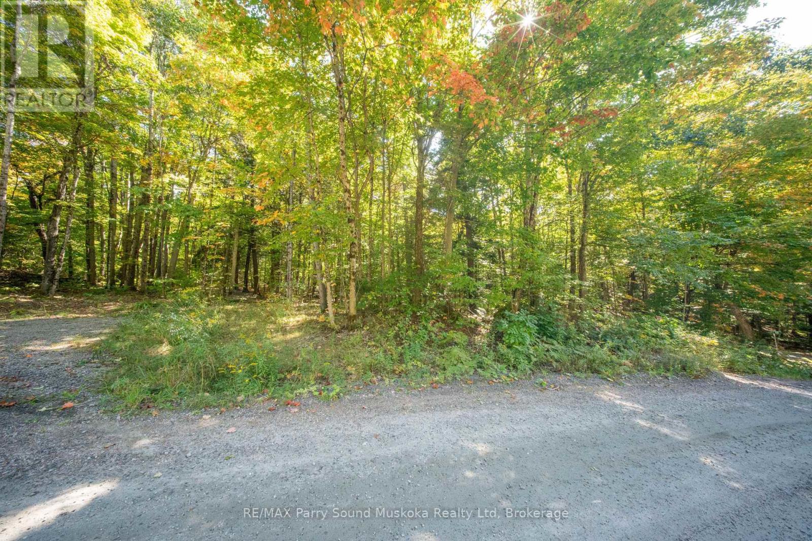 72 Mccauley Road, Seguin, Ontario P0C 1J0 - Photo 24 - X12846098