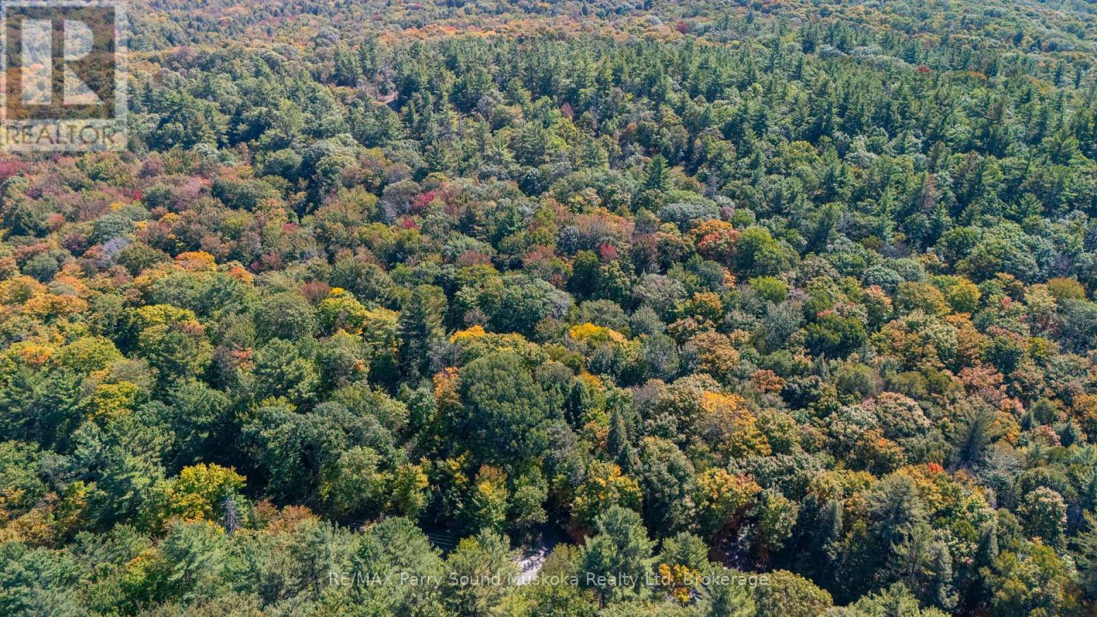 72 Mccauley Road, Seguin, Ontario P0C 1J0 - Photo 4 - X12846098