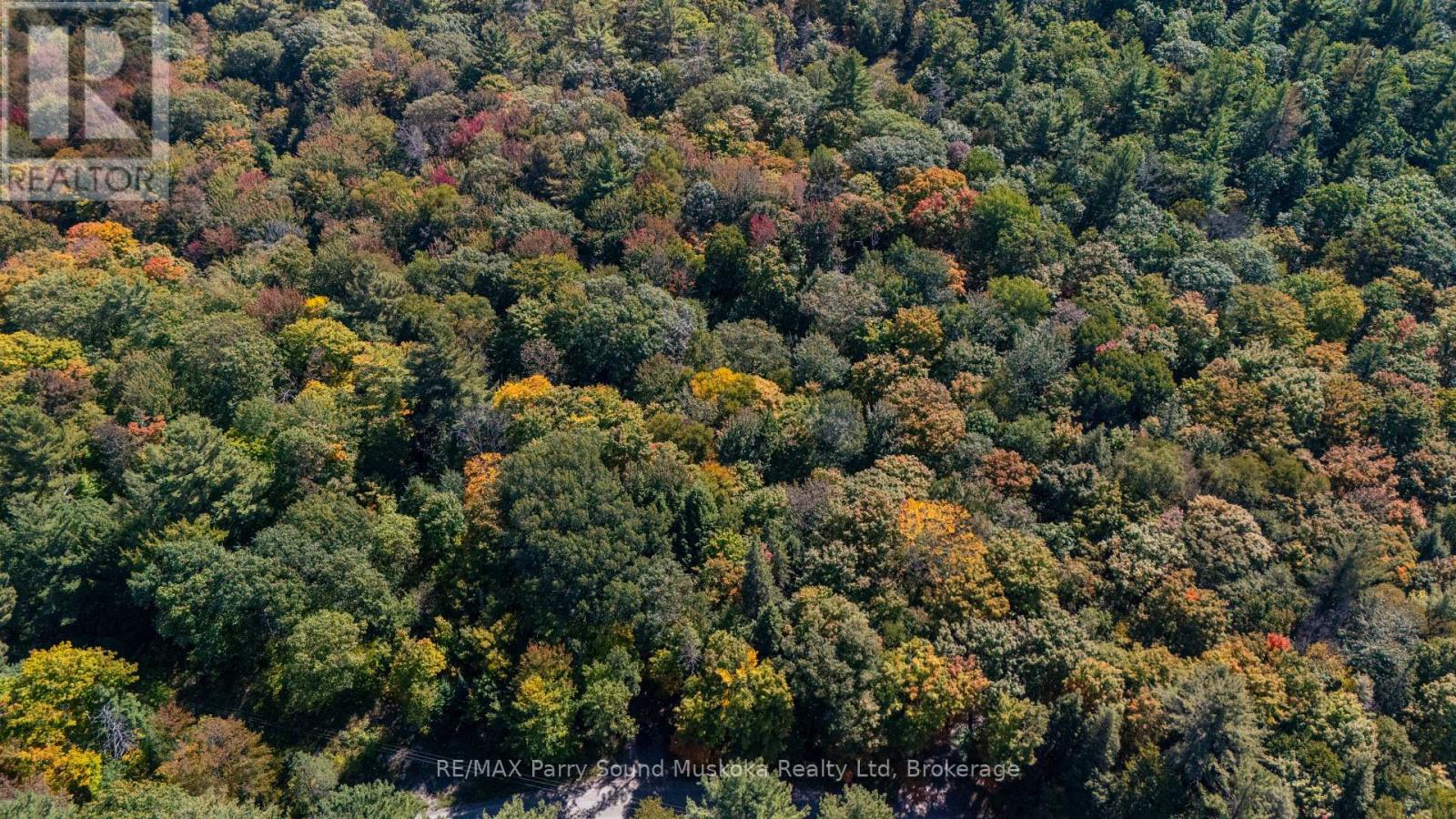 72 Mccauley Road, Seguin, Ontario P0C 1J0 - Photo 5 - X12846098