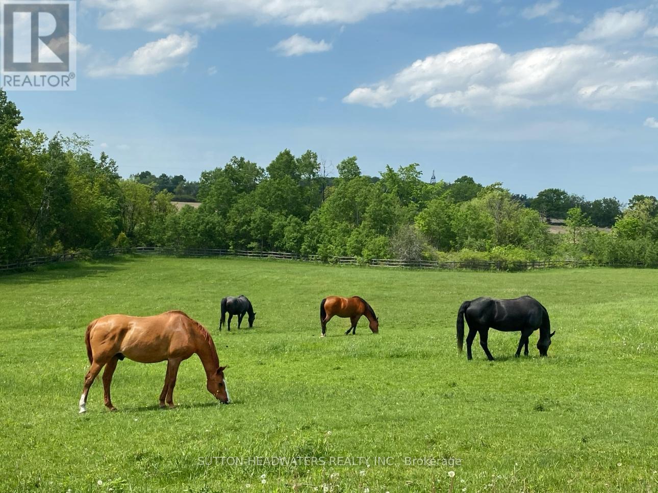 240 Leach Road, Alnwick/haldimand, Ontario  K0K 2X0 - Photo 48 - X12842144