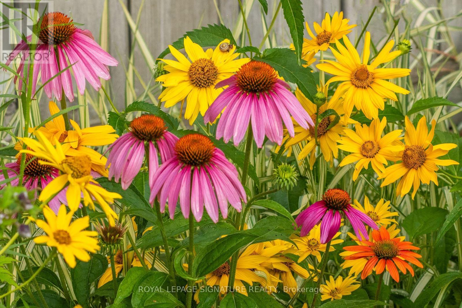 28 Grove Park Crescent, Toronto, Ontario  M2J 2C8 - Photo 28 - C12845382