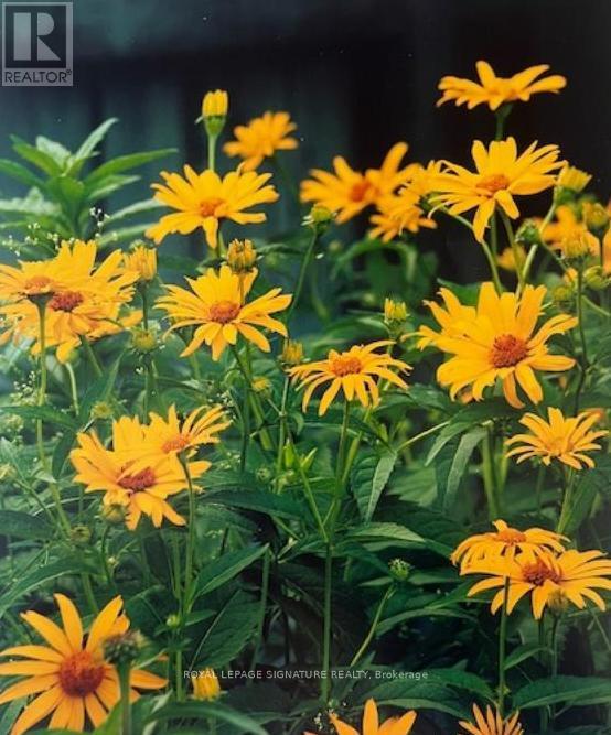 28 Grove Park Crescent, Toronto, Ontario  M2J 2C8 - Photo 30 - C12845382