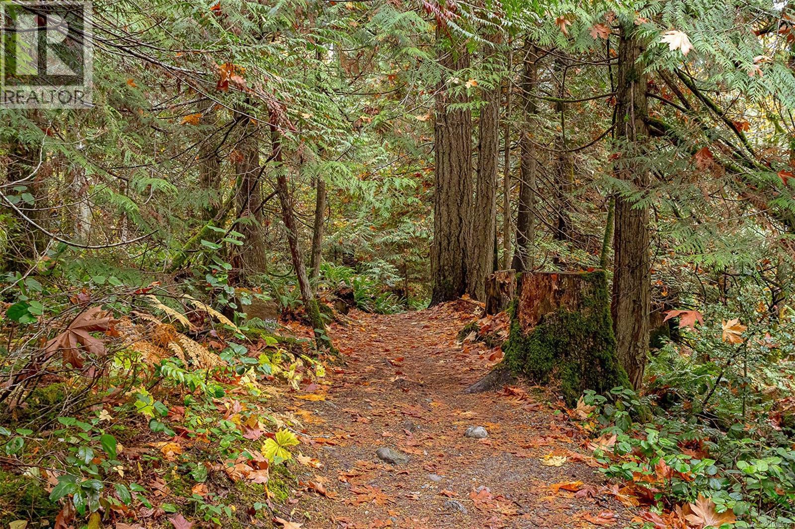 350 Dogwood Dr, Ladysmith, British Columbia  V9G 1A8 - Photo 73 - 1018672