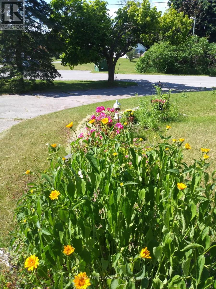 61 Lafferty Road, Quinte West, Ontario  K8V 5P7 - Photo 38 - X12846444