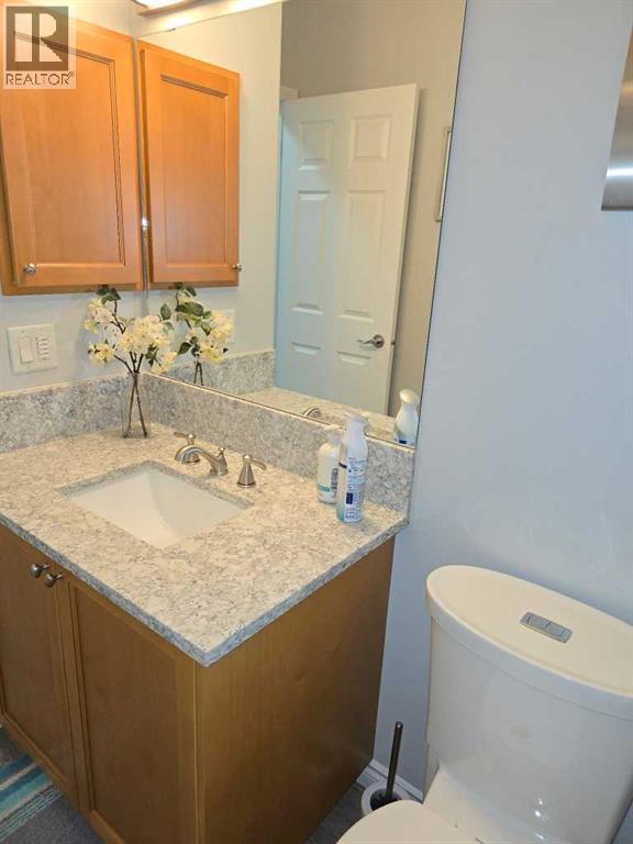 79 Park Place W, Brooks, Alberta  T1A 0A8 - Photo 36 - A2237500