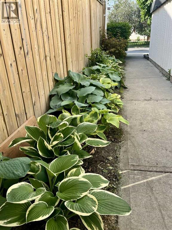 5919 Temple Drive Ne, Calgary, Alberta  T1Y 3B5 - Photo 42 - A2285959