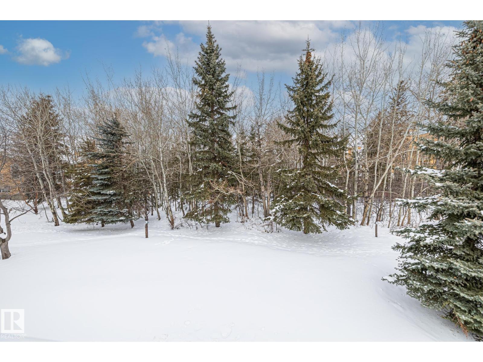 #48 920 119 St Nw, Edmonton, Alberta  T6J 7H2 - Photo 37 - E4475726